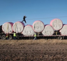 Việt Nam sở hữu “viên ngọc quý” khiến Trung Quốc mạnh tay chi hàng tỷ USD săn lùng